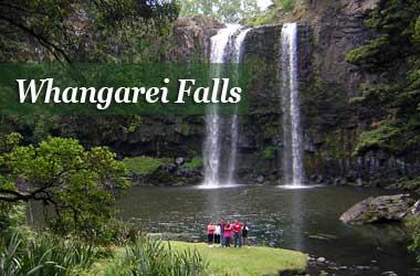 Whangarei Falls